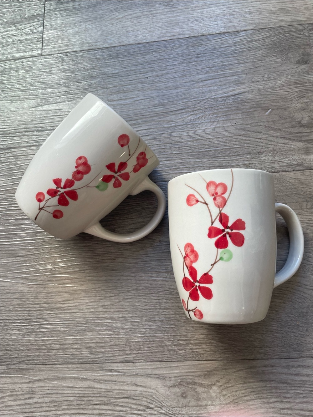 Pier 1 Imports 2pc Coffee Cup Mug Set Red Floral Hand Painted